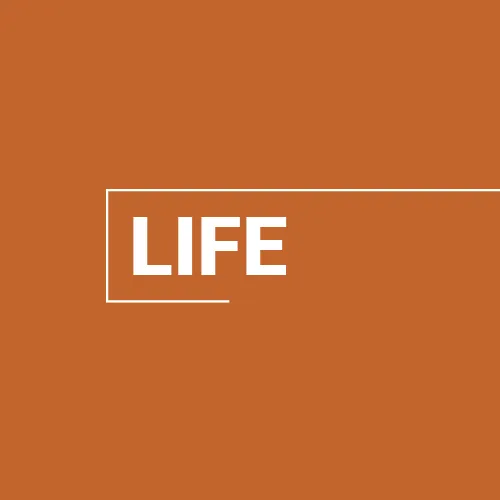 Life Website